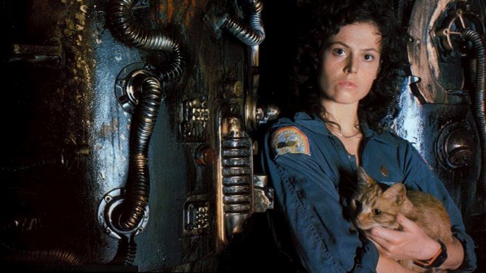 invitado ripley